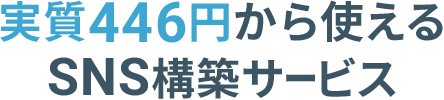 ¼446ߤȤSNSۥӥ